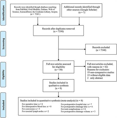 Preoperative Three-Dimensional Lung Simulation Before Thoracoscopic Anatomical Segmentectomy for Lung Cancer: A Systematic Review and Meta-Analysis